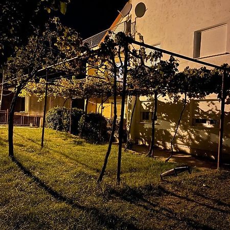 Entire Spacious Apartment With Free Parking Подгорица Экстерьер фото